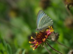 Florida_2007-2008-043